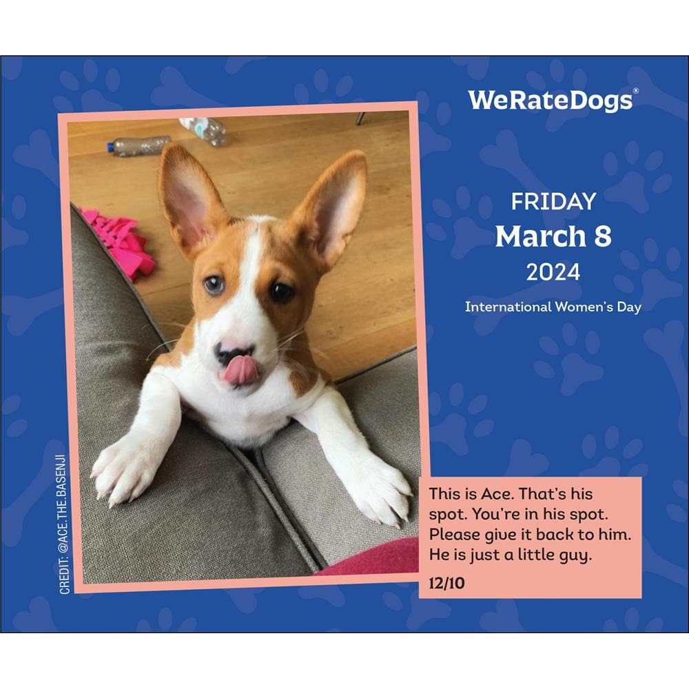 We Rate Dogs 2024 Box Calendar product image
