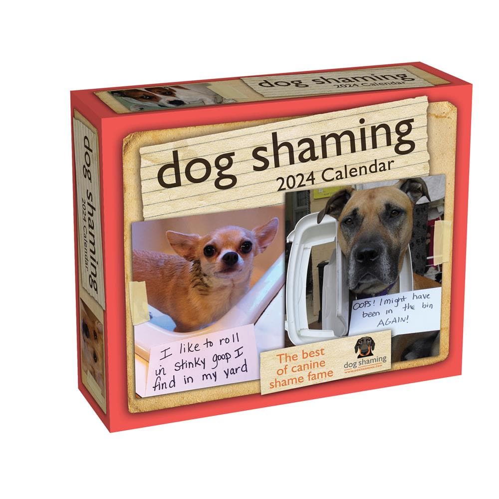 Dog Shaming 2024 Box Calendar product image
