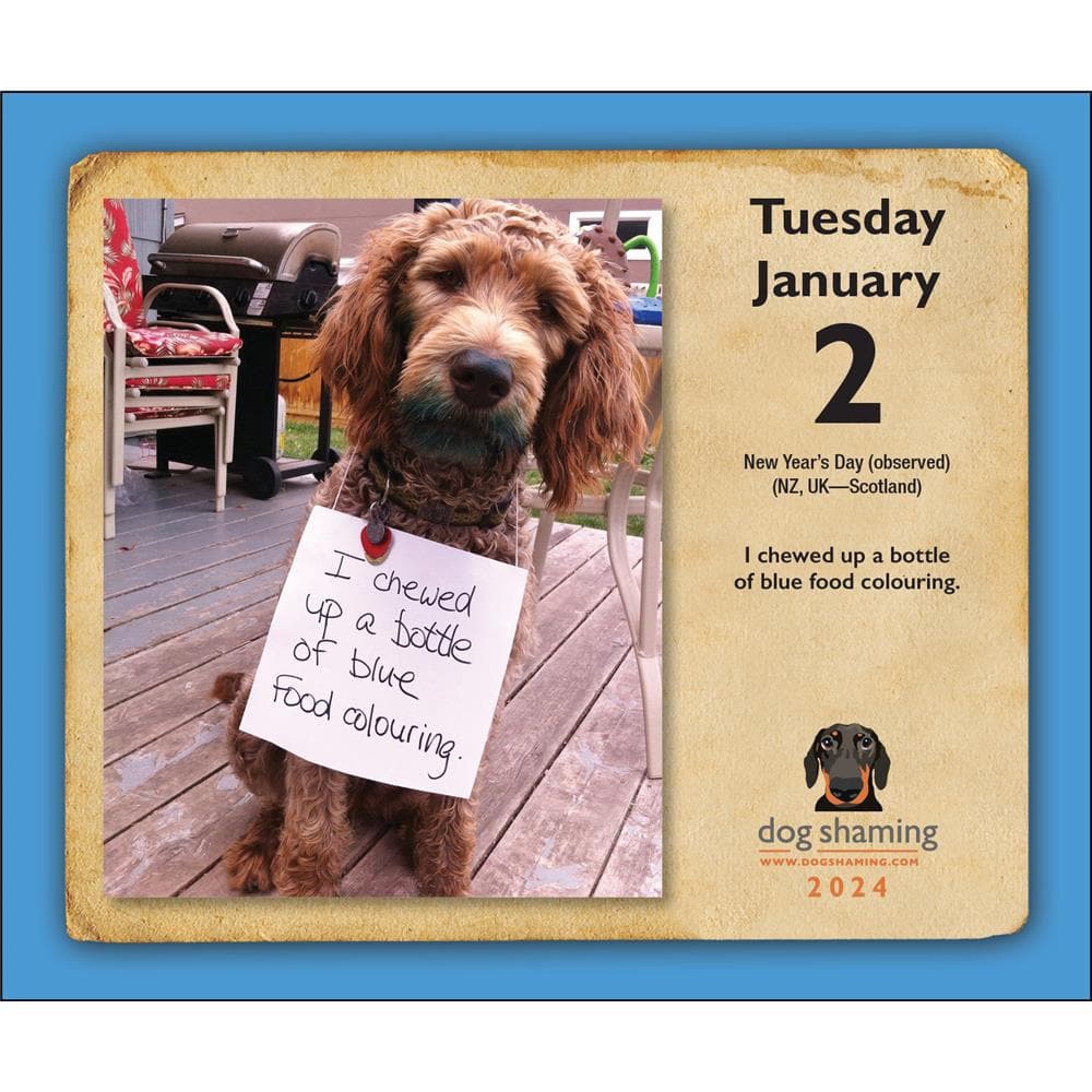 Dog Shaming 2024 Box Calendar product image
