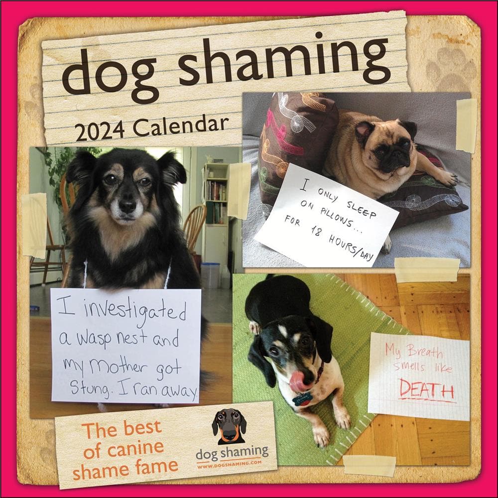 Dog Shaming 2024 Wall Calendar product image
