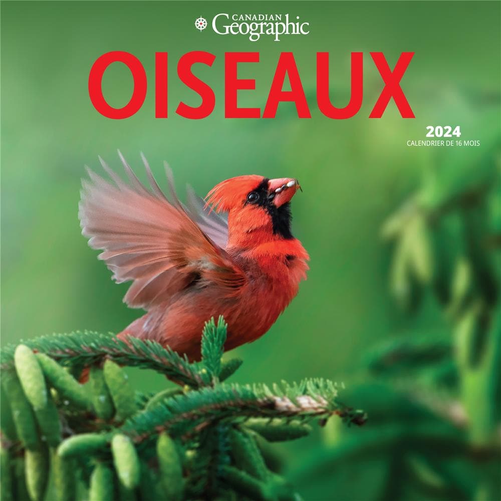 Oiseaux Birds Can Geo 2024 Wall Calendar (French) product image