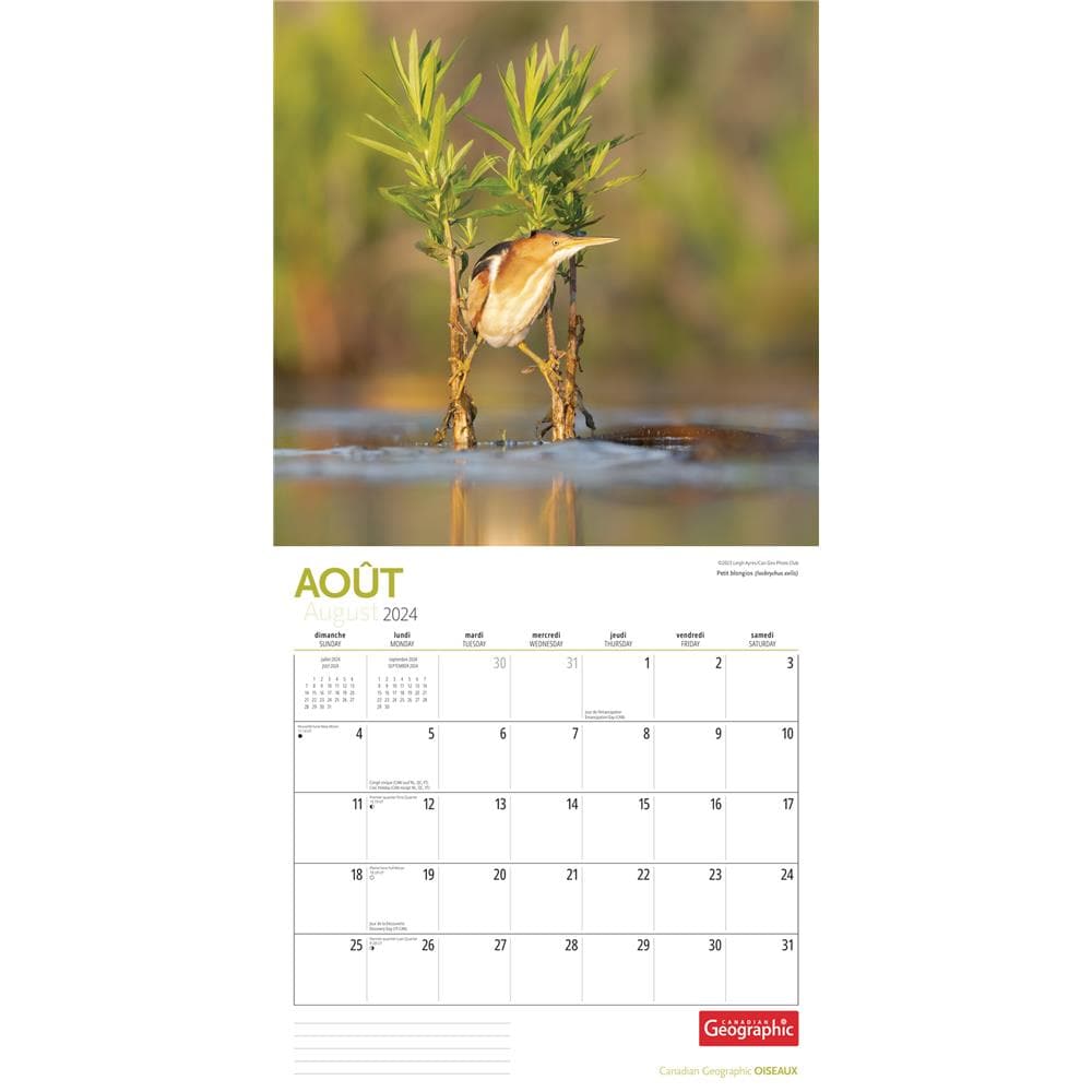 Oiseaux Birds Can Geo 2024 Wall Calendar (French) product image