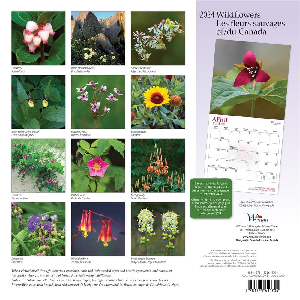 9781525611704 Wildflowers of Canada 2024 Wall Calendar Wyman Publishing