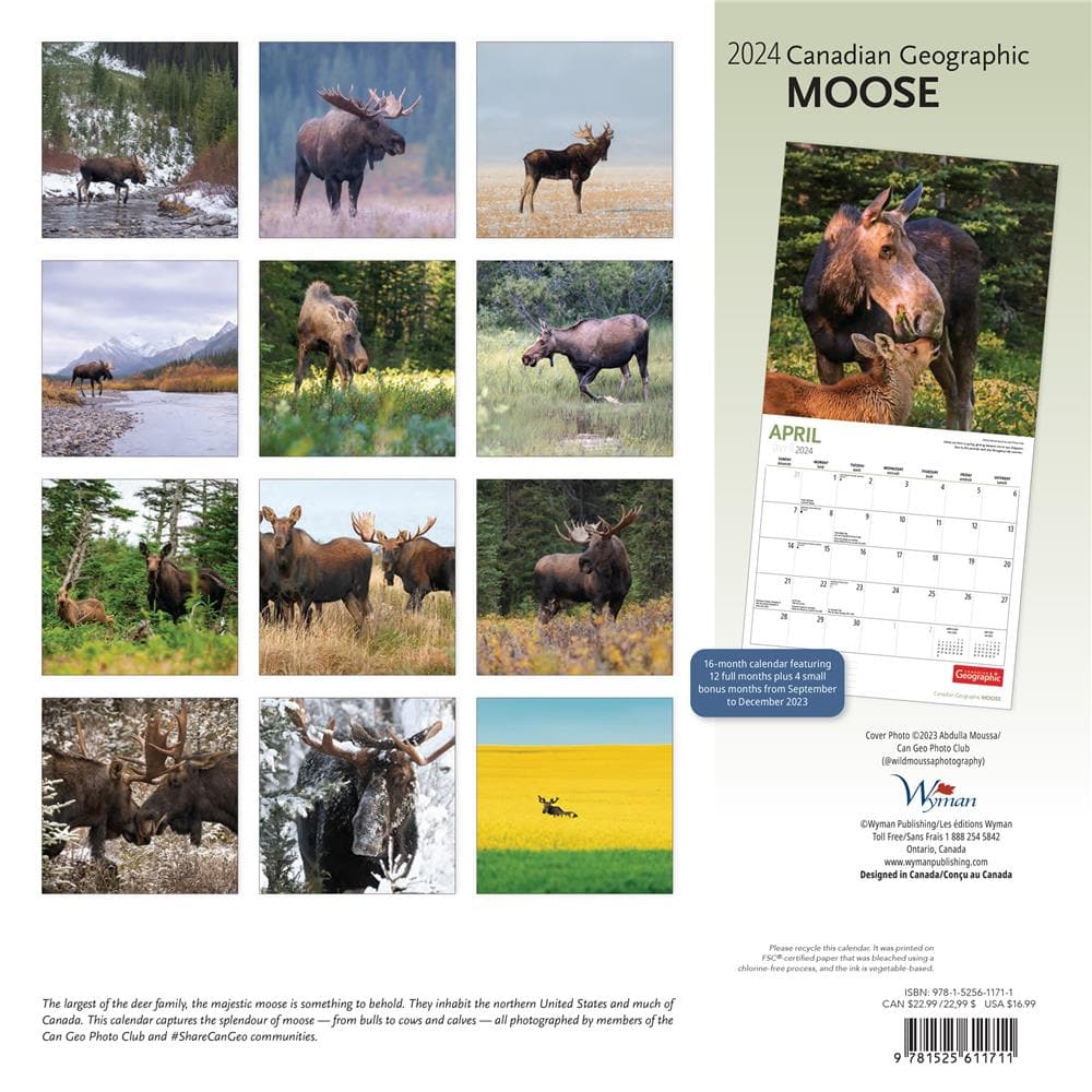 Can Geo Moose 2024 Wall Calendar product image