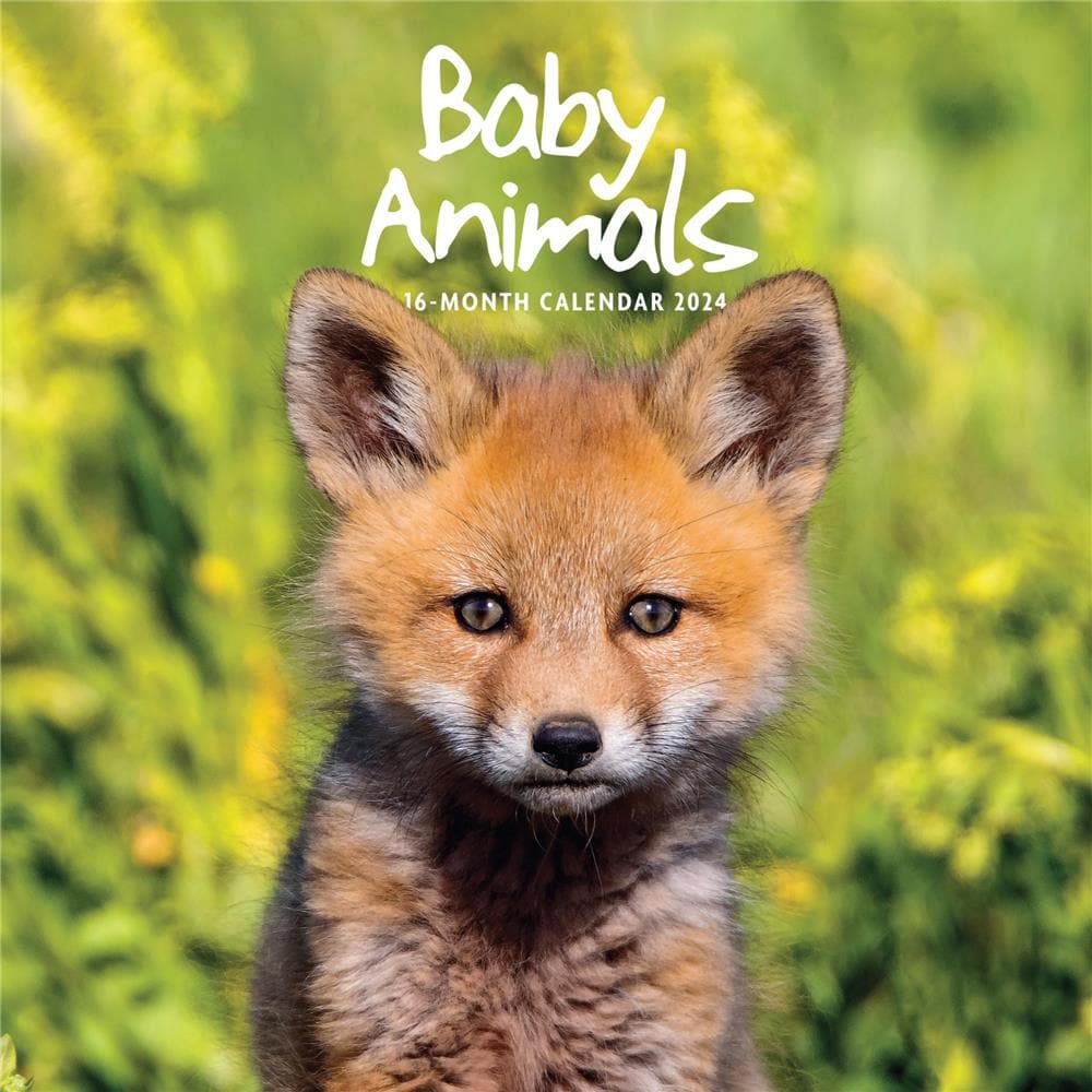 Baby Animals 2024 Wall Calendar product image