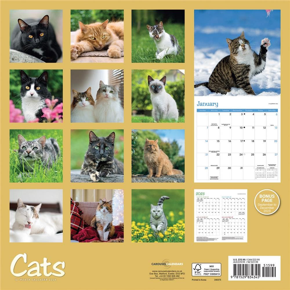 Cats 2024 Wall Calendar product image