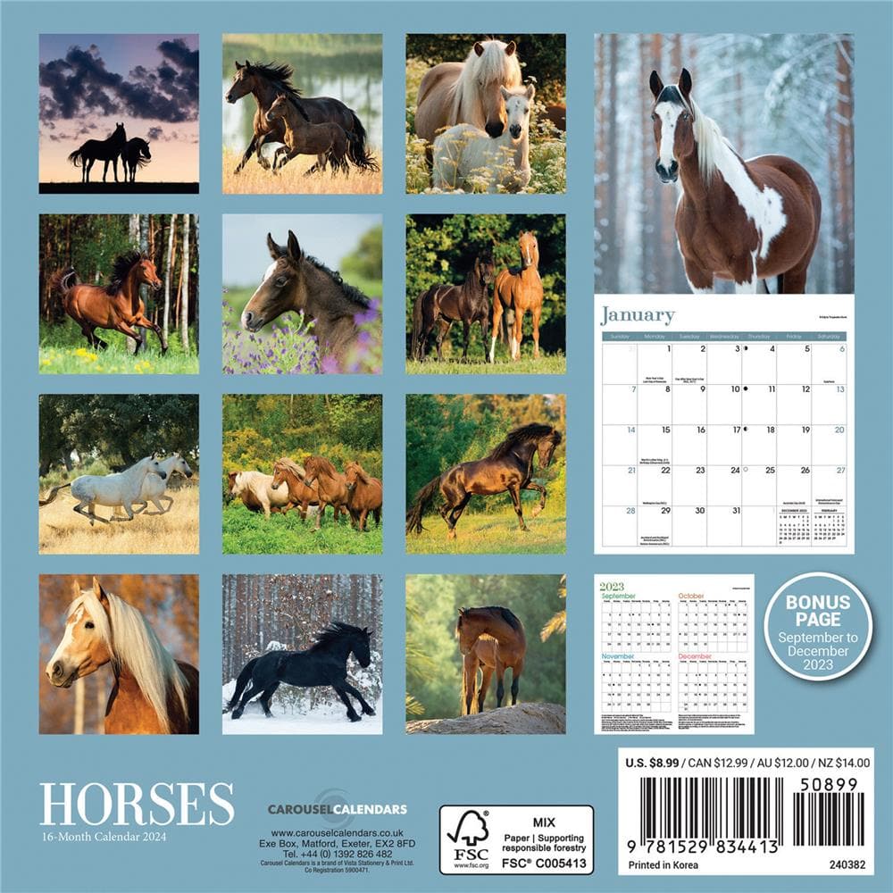 Horses 2024 Mini Calendar product image