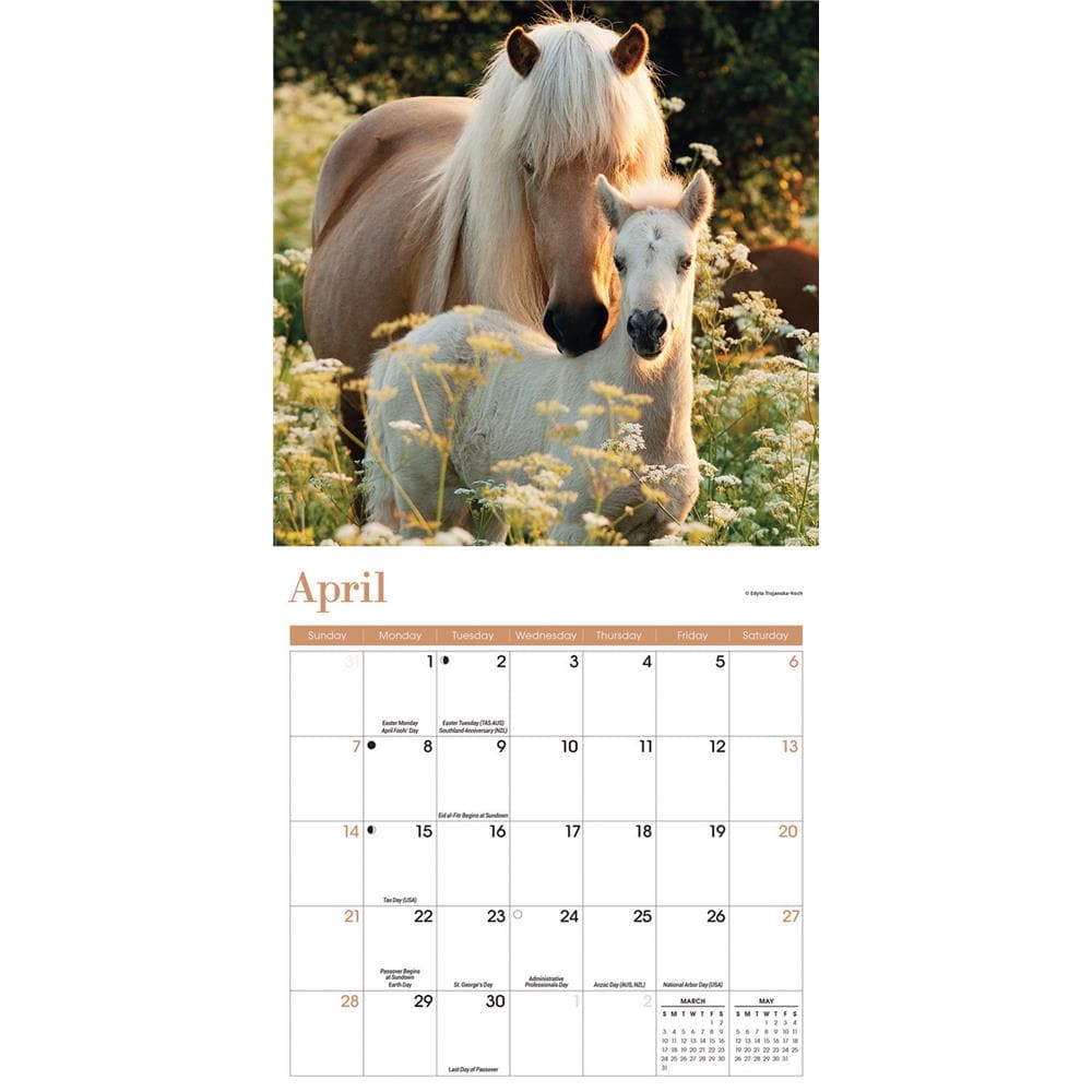 Horses 2024 Mini Calendar product image