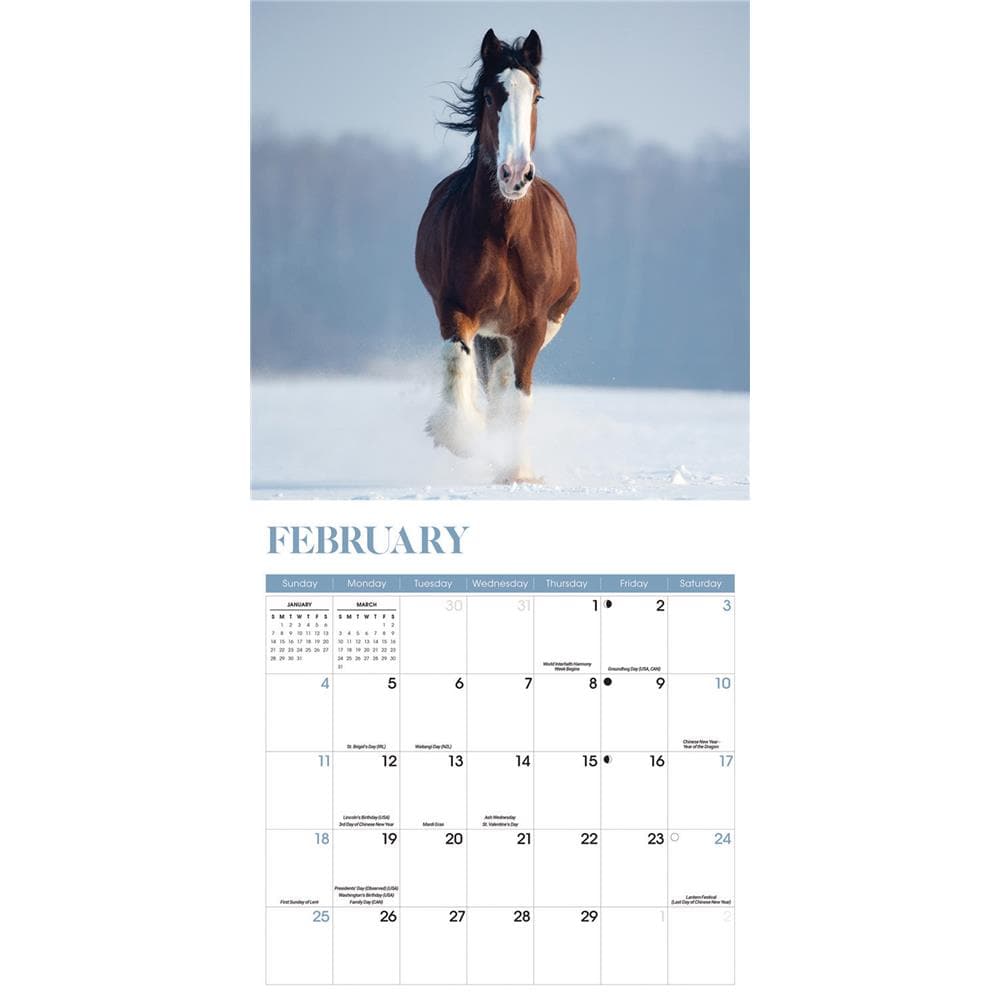 Horses 2024 Wall Calendar product image