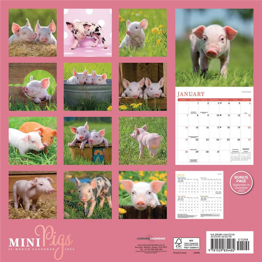 Mini Pigs 2024 Wall Calendar product image