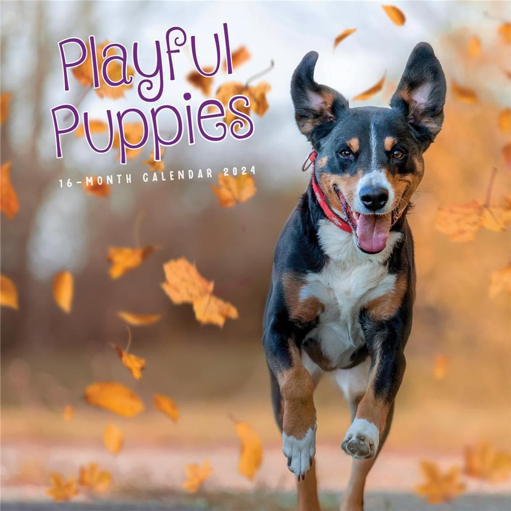 Playful Puppies 2024 Wall Calendar product image
