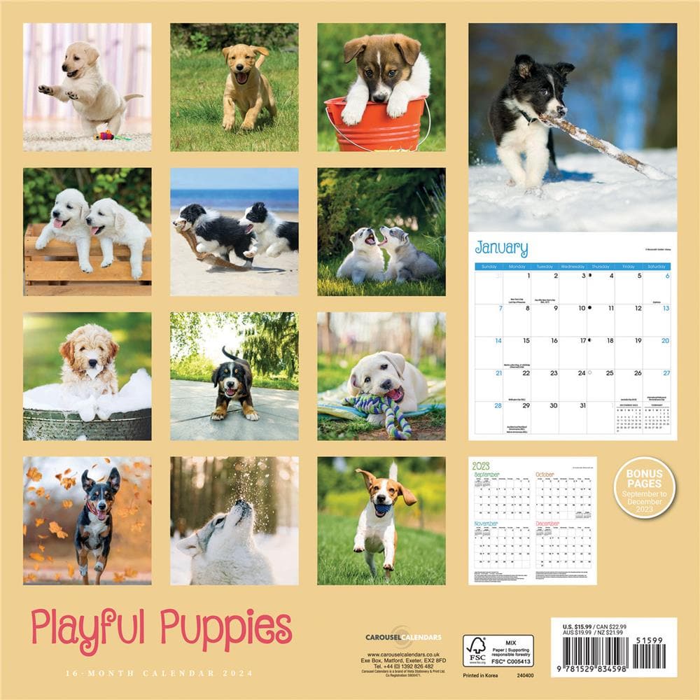 Playful Puppies 2024 Wall Calendar product image