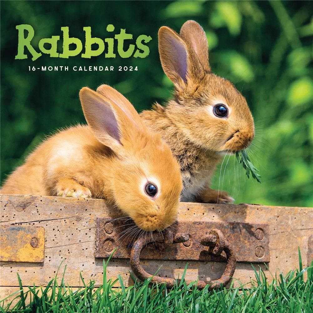 Rabbits 2024 Wall Calendar product image
