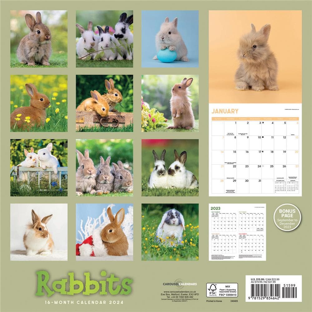 Rabbits 2024 Wall Calendar product image