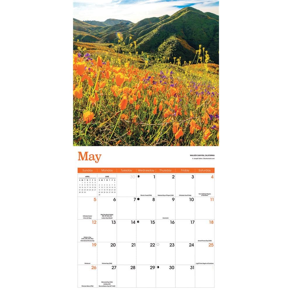 Seasons 2024 Wall Calendar product image