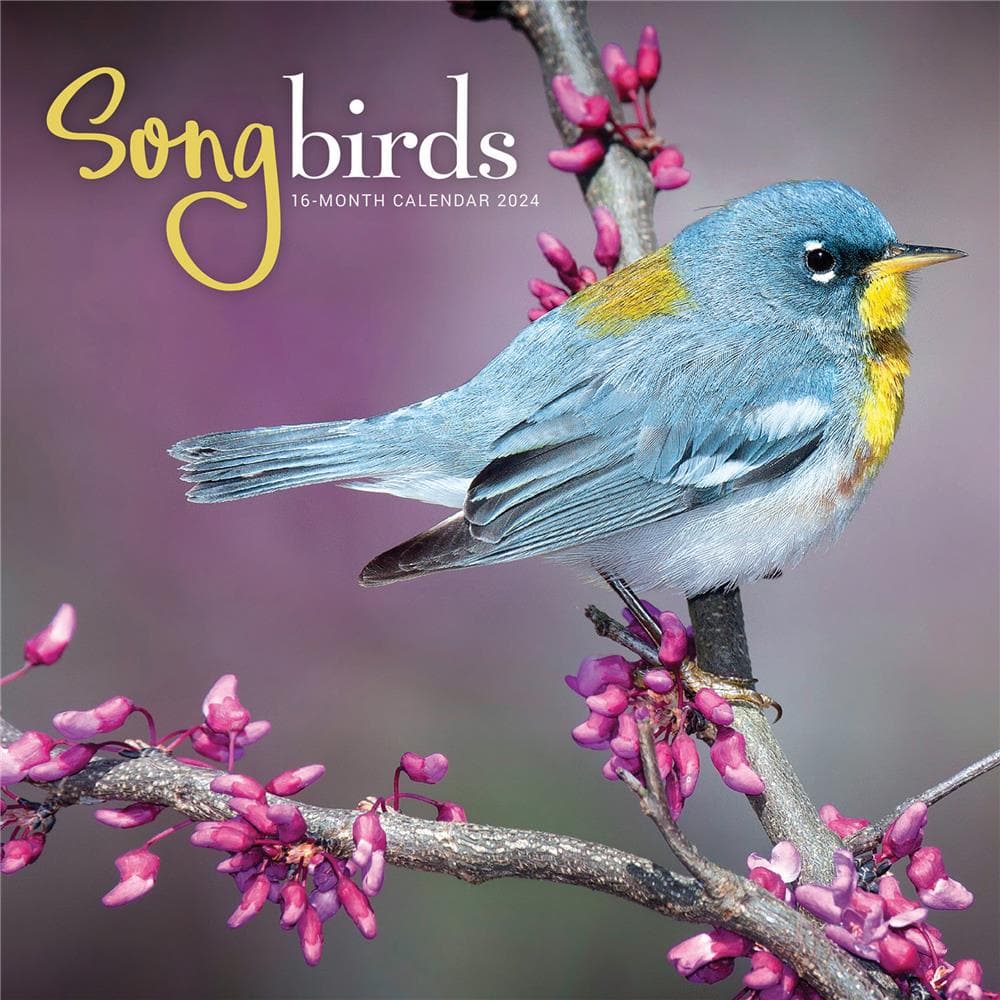Songbirds 2024 Wall Calendar product image