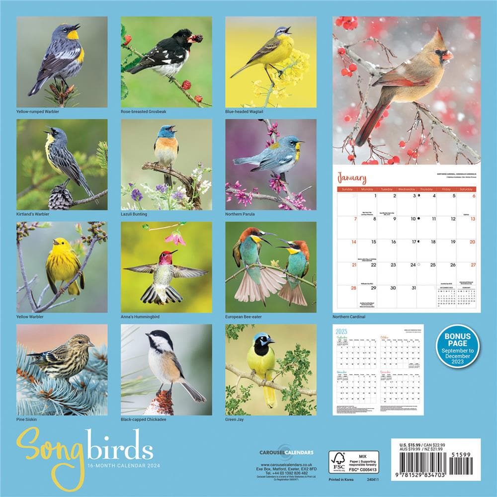 Songbirds 2024 Wall Calendar product image