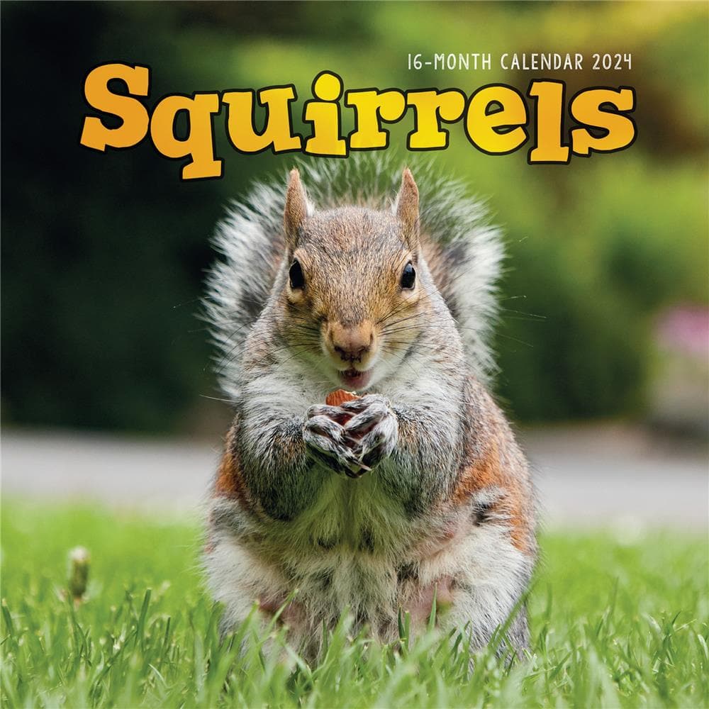 9781529834710 Squirrels 2025 Wall Calendar Carousel Calendars