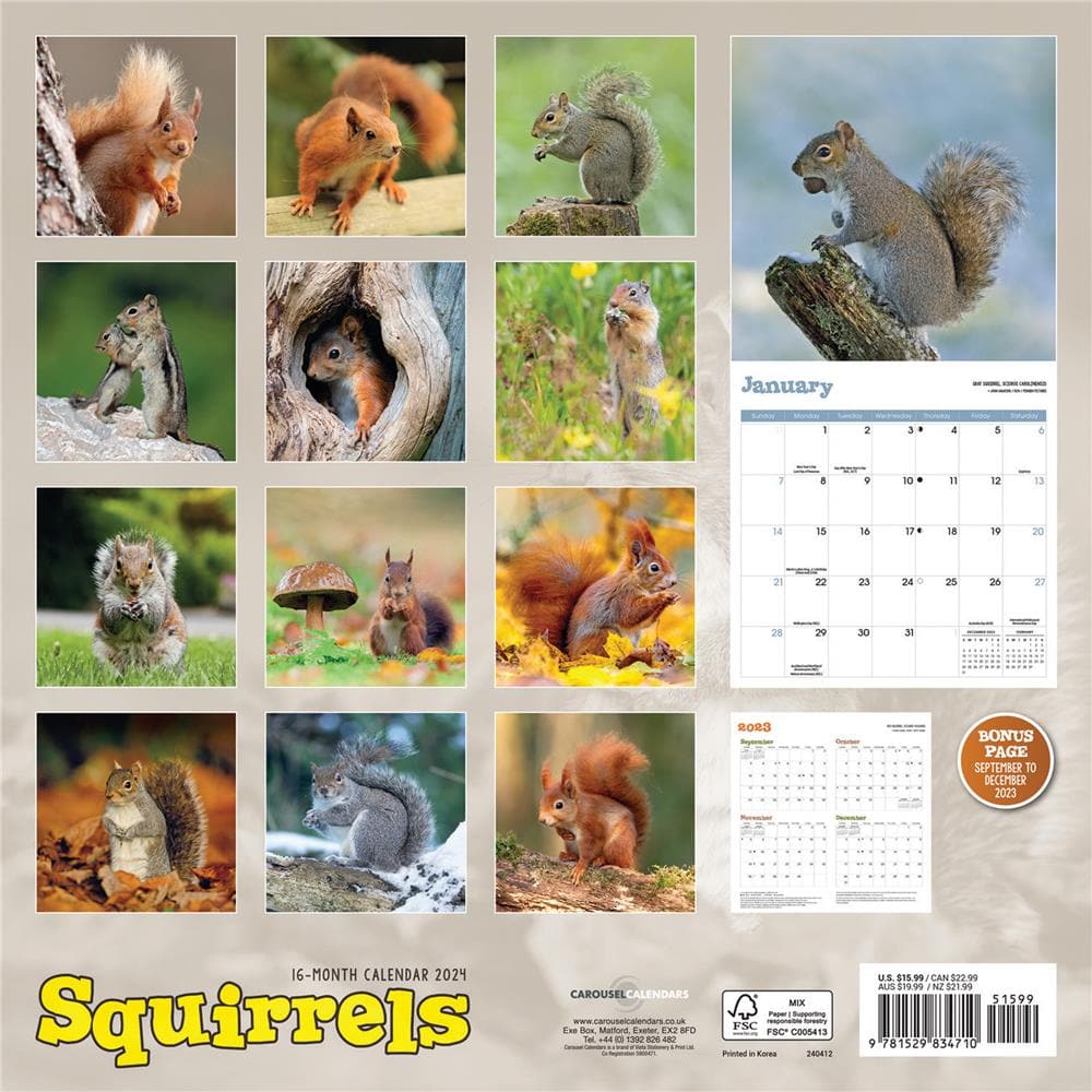 Squirrels 2024 Wall Calendar product image
