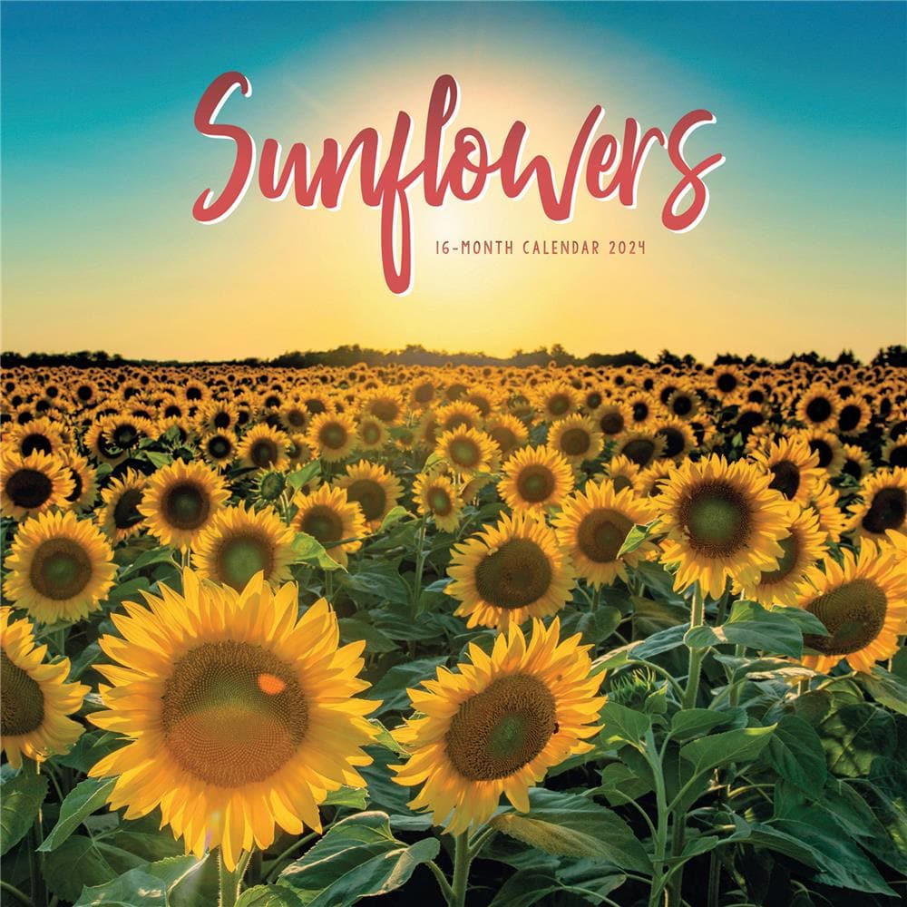 Sunflowers 2024 Wall Calendar product image