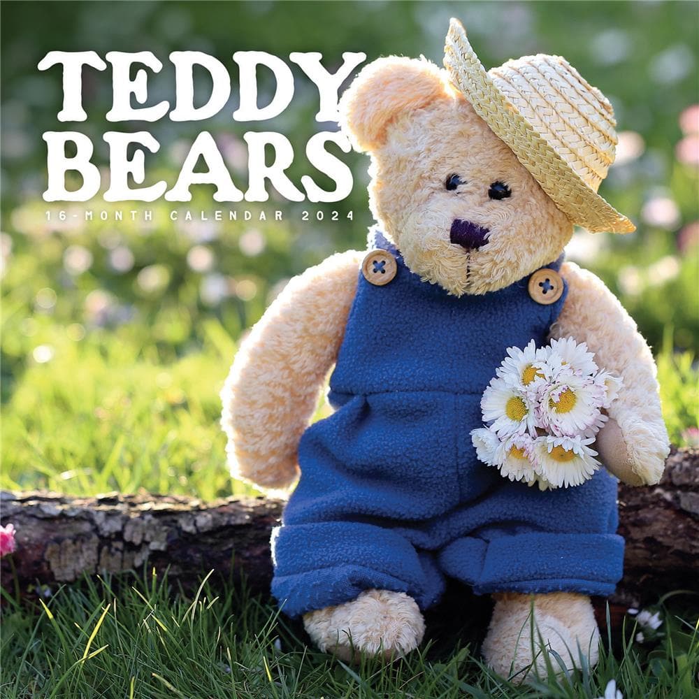 Teddy Bears 2024 Wall Calendar product image