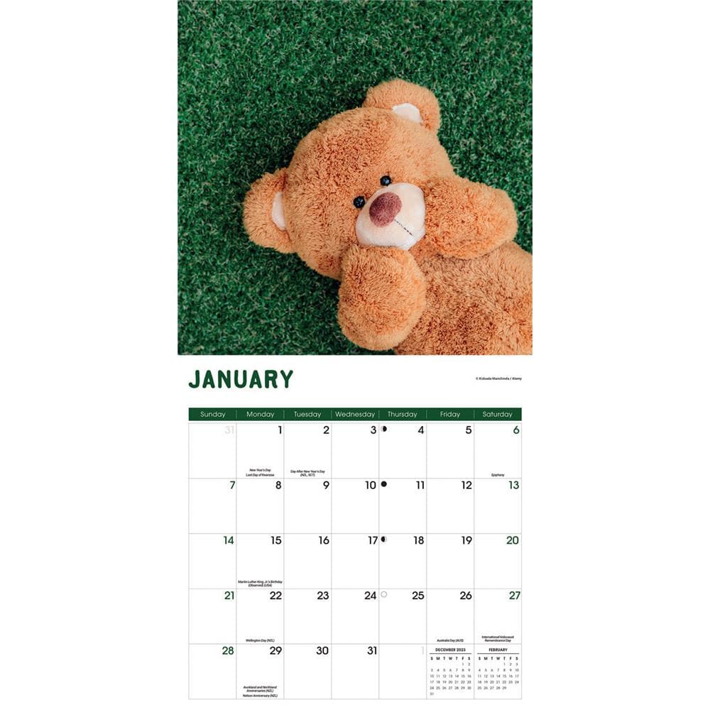 Teddy Bears 2024 Wall Calendar product image