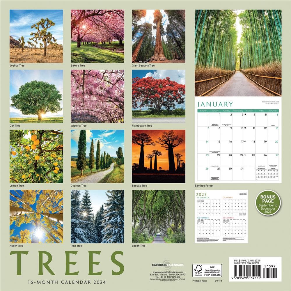 Trees 2024 Wall Calendar product image