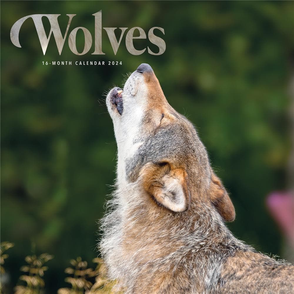 Wolves 2024 Wall Calendar product image