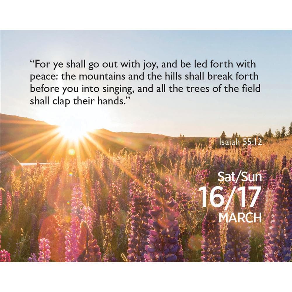 Bible Verse a Day 2024 Small Box Calendar product image