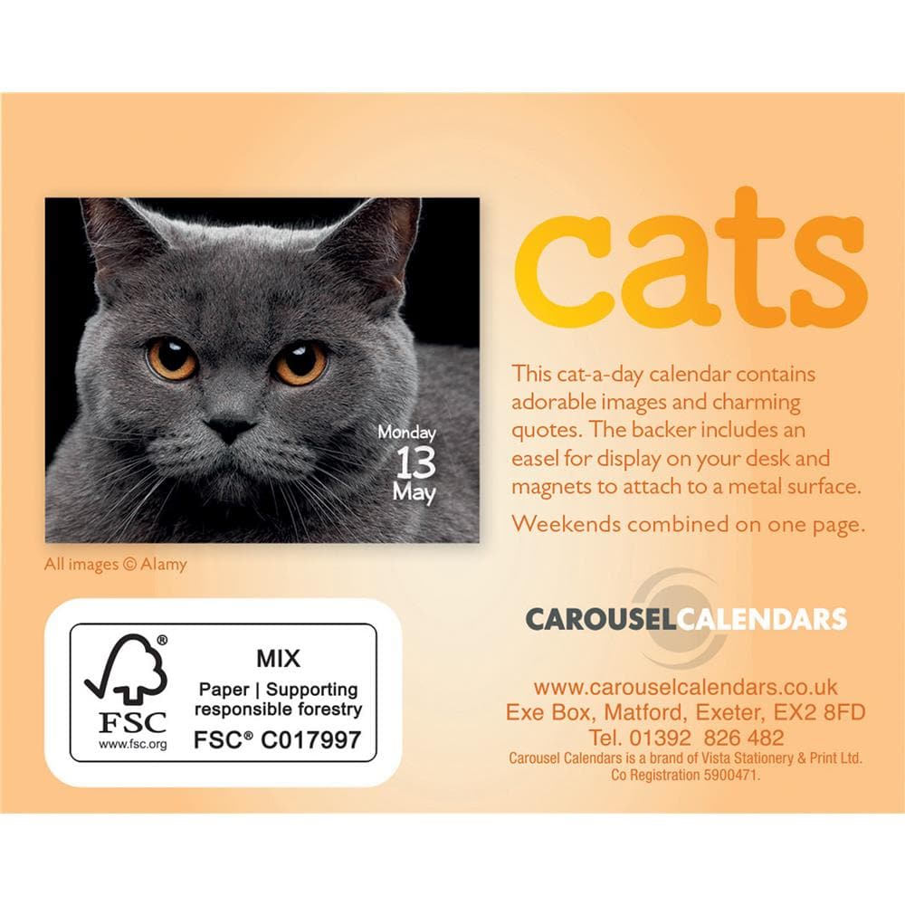 Cats 2024 Small Box Calendar product image