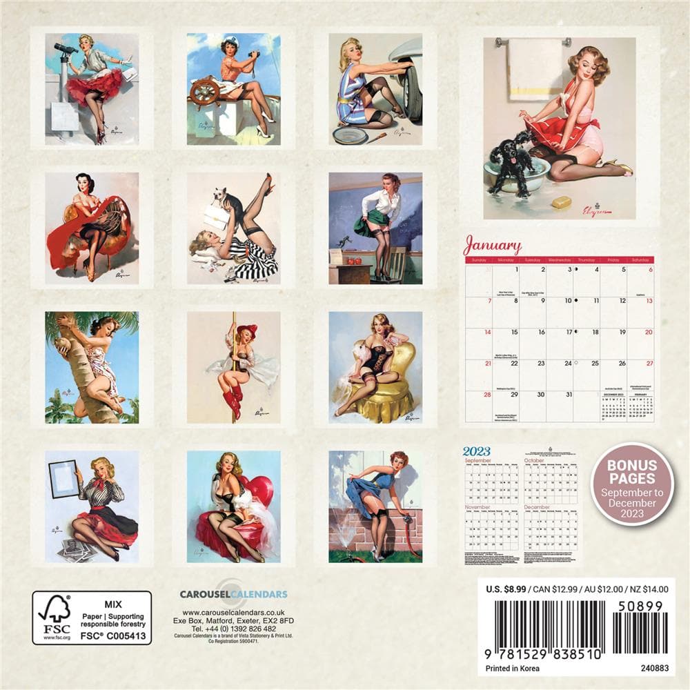 Pin Ups 2024 Mini Calendar product image
