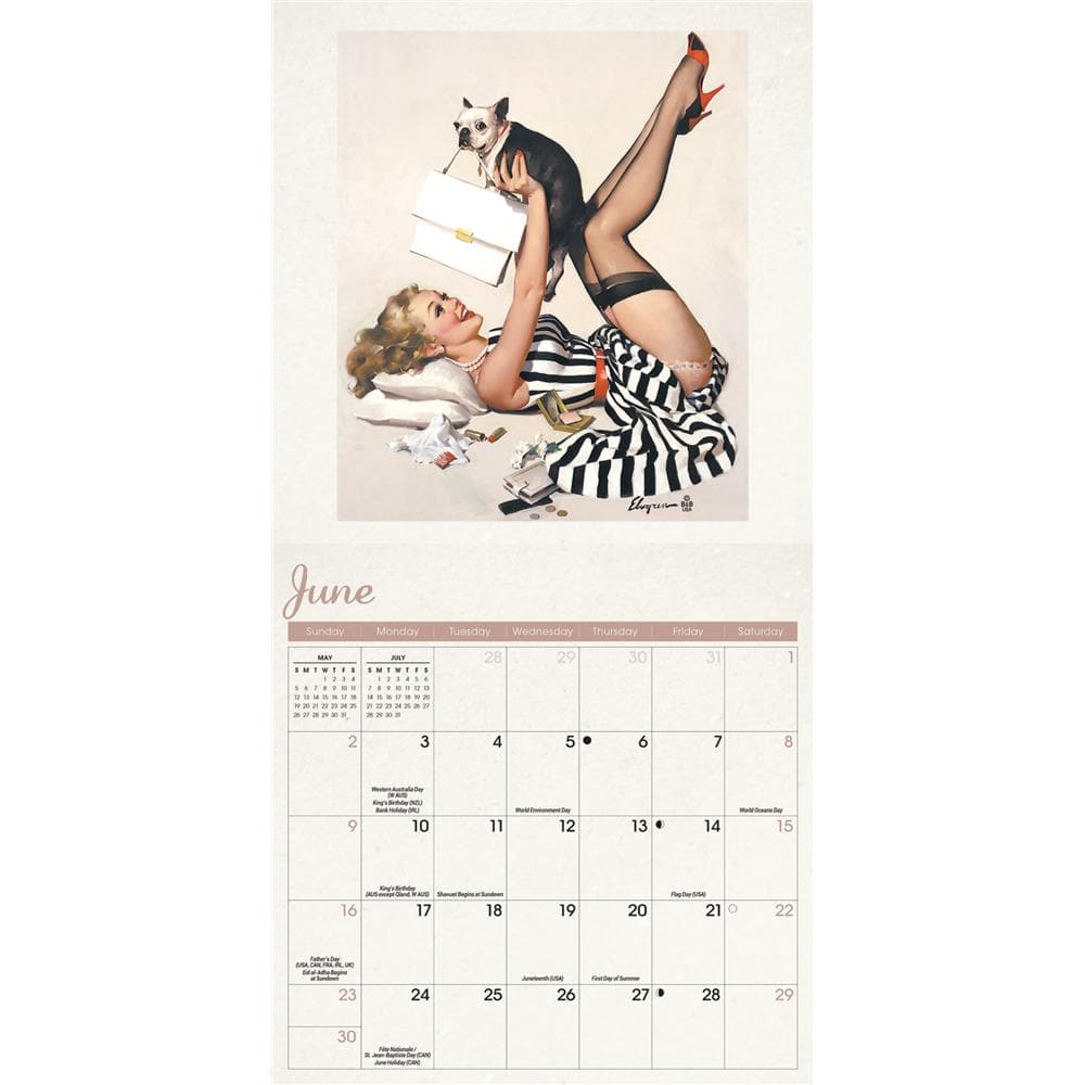 Pin Ups 2024 Mini Calendar product image