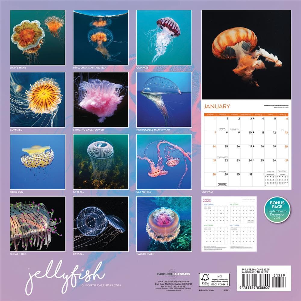 Jellyfish 2024 Wall Calendar product image