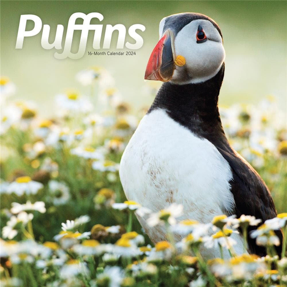 Puffins 2024 Wall Calendar product image