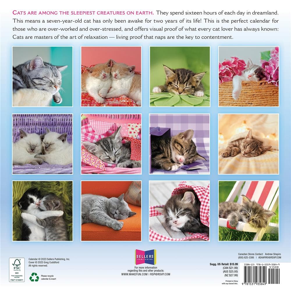 Cat Naps 2024 Wall Calendar product image