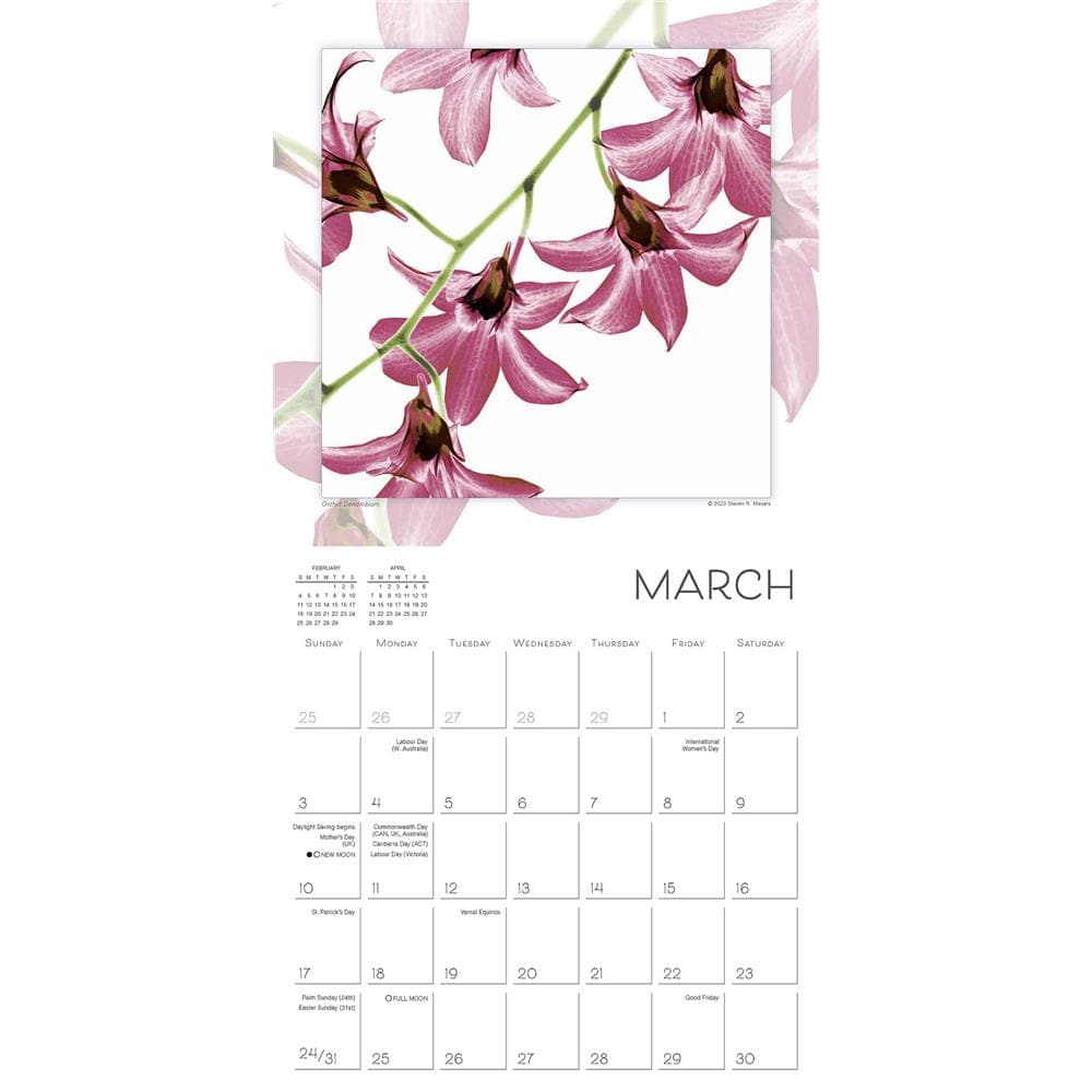 Flower Spirits 2024 Wall Calendar product image