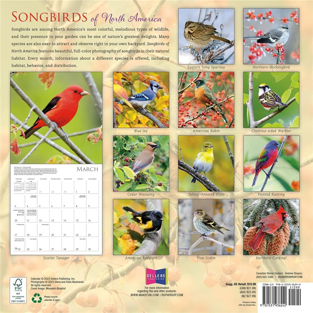 Songbirds of North America 2024 Wall Calendar product image