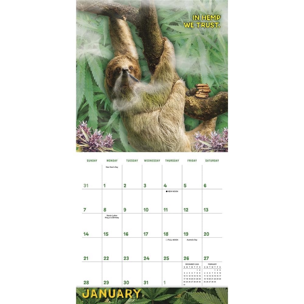 Stoner Sloths 2024 Wall Calendar product image
