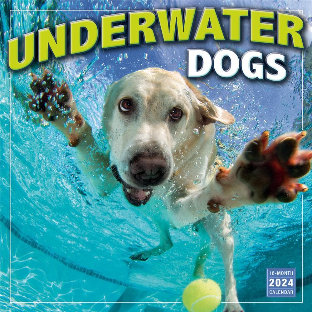 Underwater Dogs 2024 Wall Calendar product Image