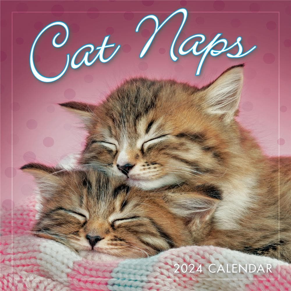 Cat Naps 2024 Mini Calendar product image