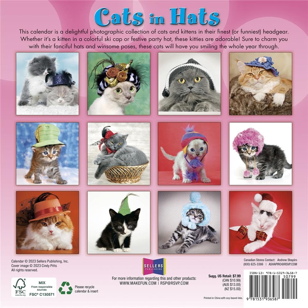 Cats in Hats 2024 Mini Calendar product image