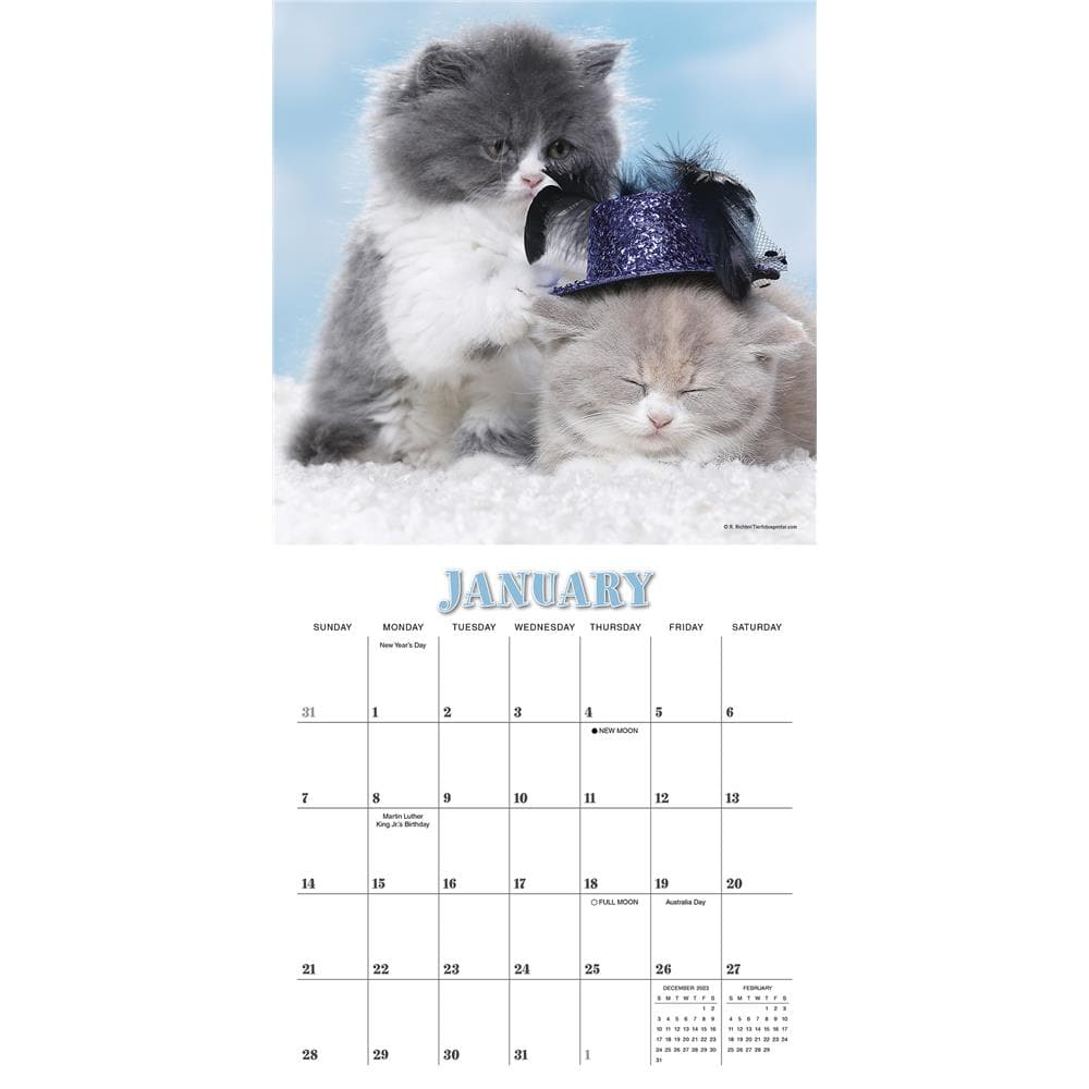 Cats in Hats 2024 Mini Calendar product image