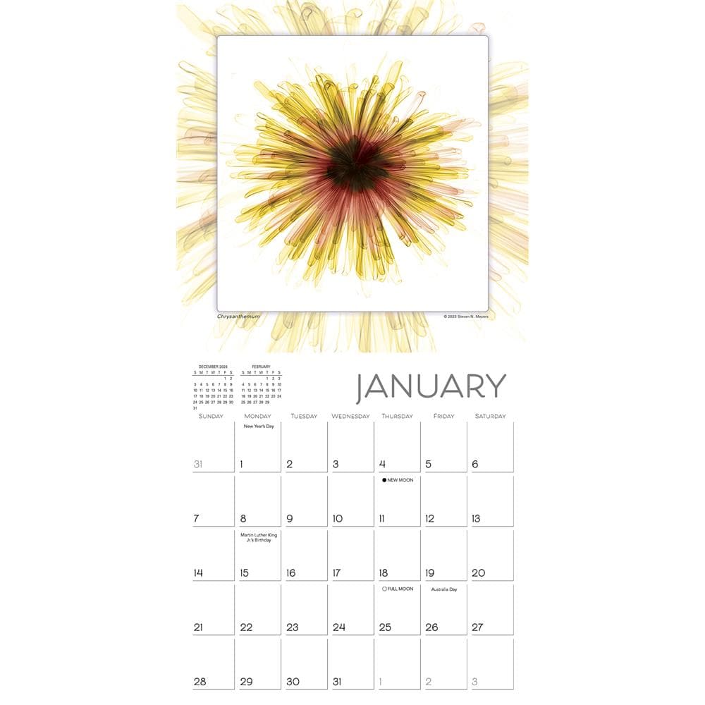 Flower Spirits 2024 Mini Calendar product image