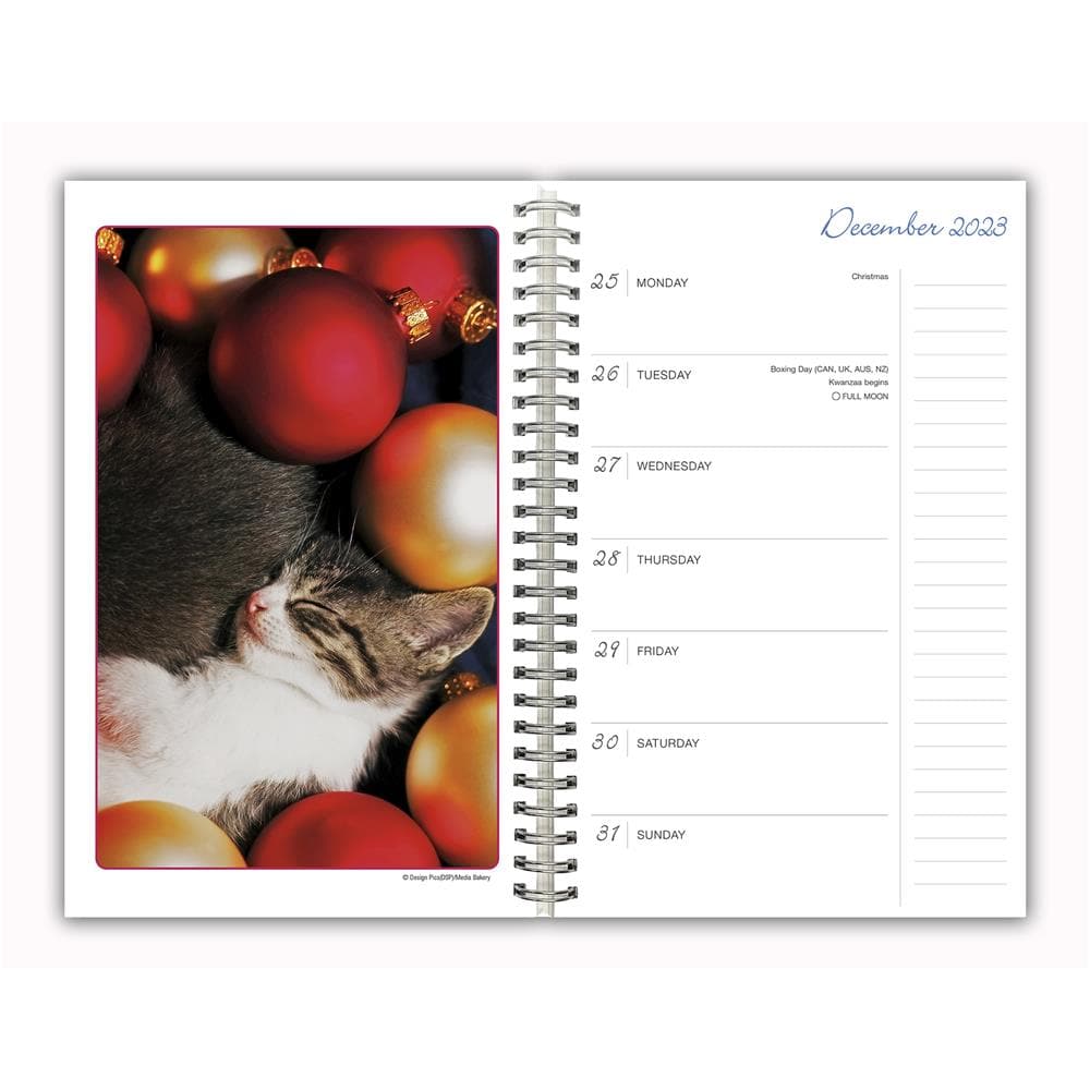 Cat Naps 2024 Engagement Calendar product image