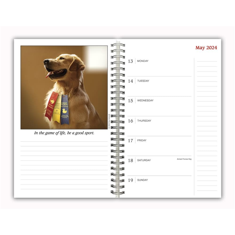 Dogma 2024 Engagement Calendar product image