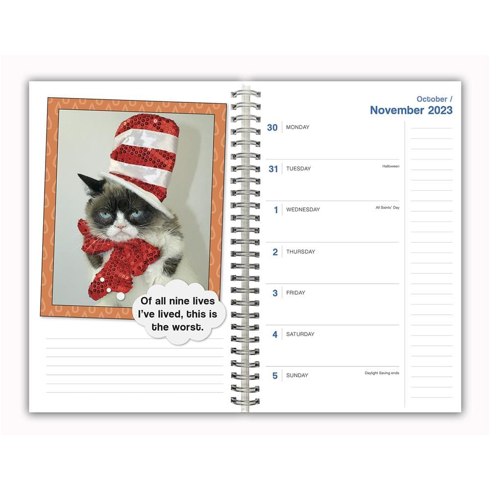 Grumpy Cat 2024 Engagement Calendar product image