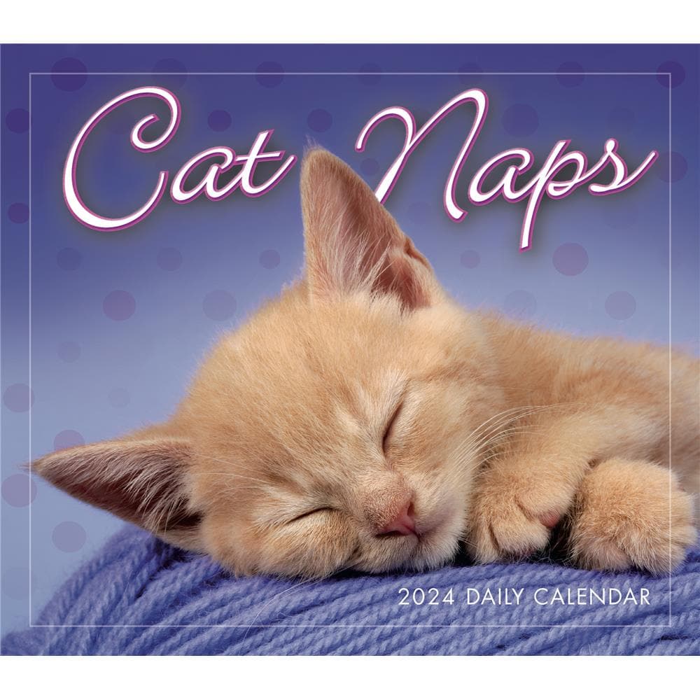 Cat Naps 2024 Box Calendar product image