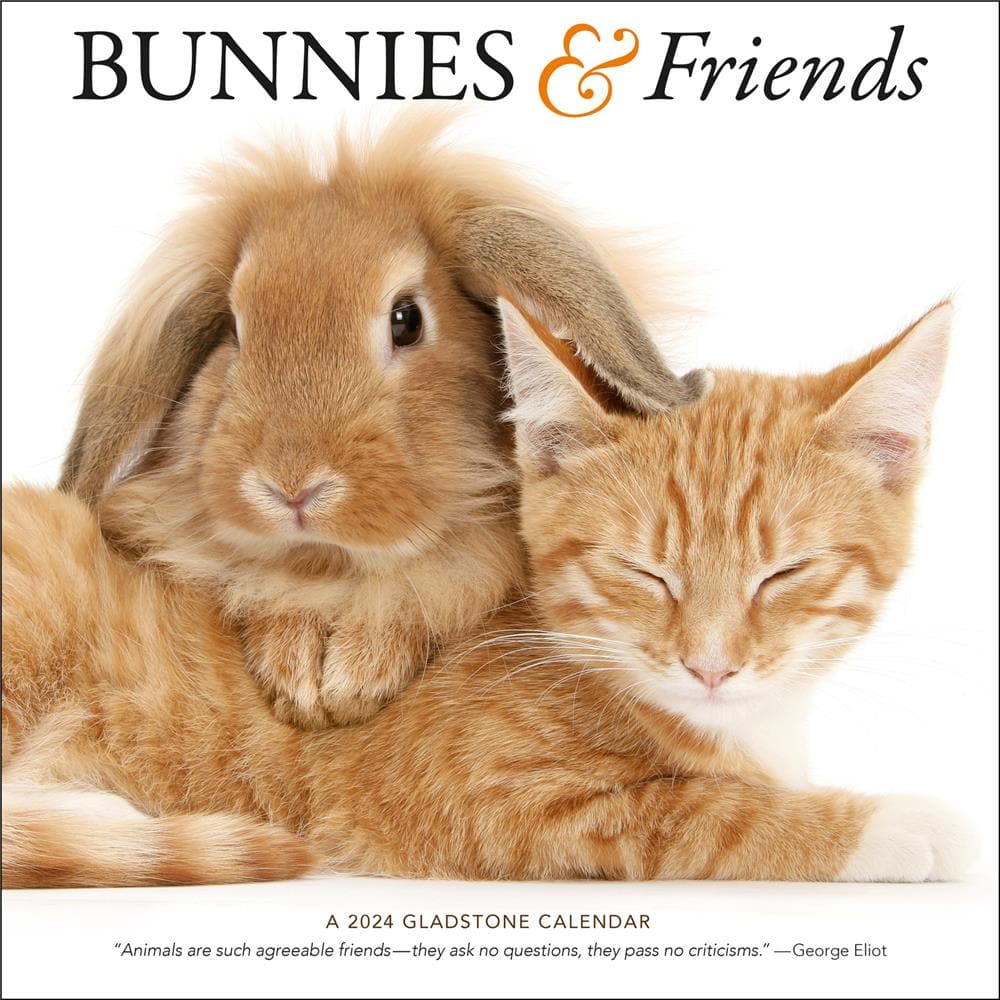 Bunnies and Friends 2024 Wall Calendar product image