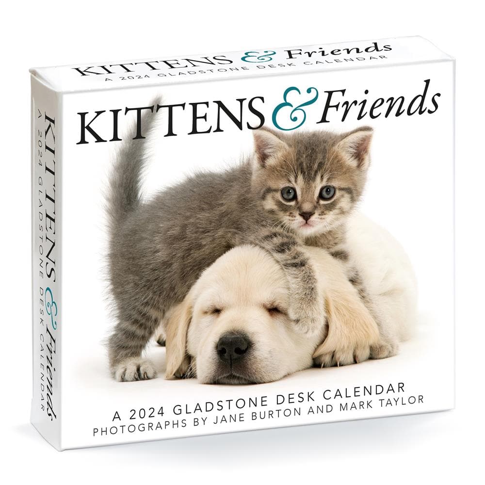 Kittens and Friends 2024 Box Calendar product image