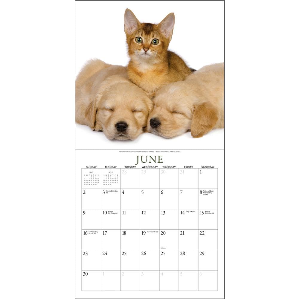Kittens and Friends 2024 Mini Calendar product image